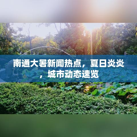 南通大暑新闻热点，夏日炎炎，城市动态速览