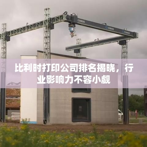 比利时打印公司排名揭晓，行业影响力不容小觑
