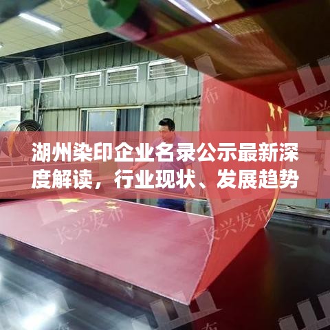 湖州染印企业名录公示最新深度解读，行业现状、发展趋势与未来展望