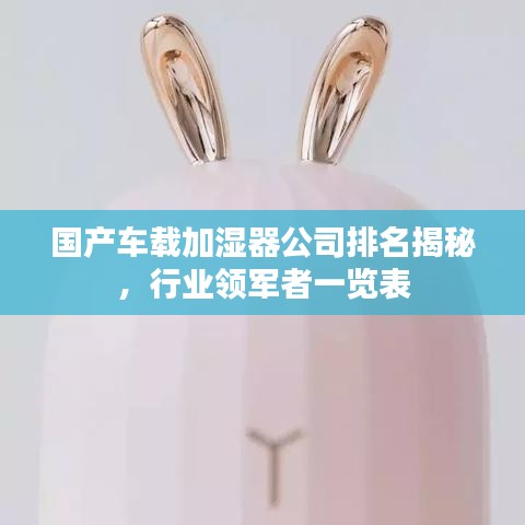 国产车载加湿器公司排名揭秘，行业领军者一览表