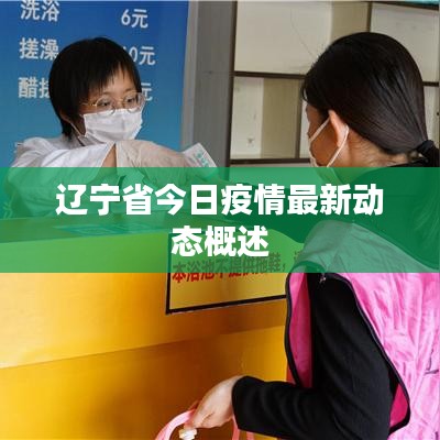 辽宁省今日疫情最新动态概述