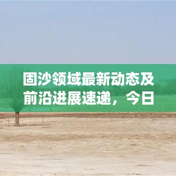 2025年6月4日 第13页