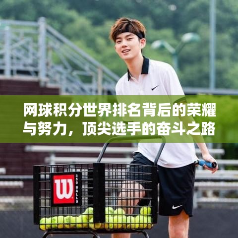 网球积分世界排名背后的荣耀与努力，顶尖选手的奋斗之路揭秘