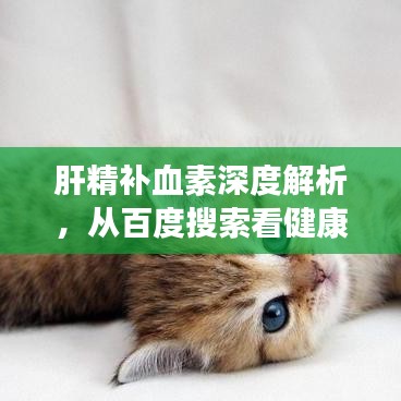 肝精补血素深度解析，从百度搜索看健康养生之道