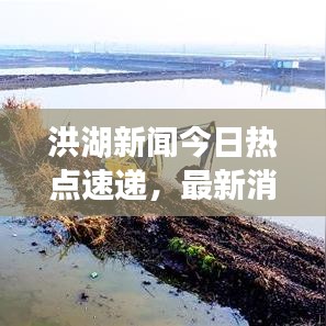 洪湖新闻今日热点速递，最新消息一览无余