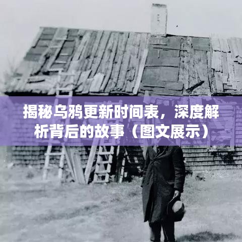 揭秘乌鸦更新时间表，深度解析背后的故事（图文展示）
