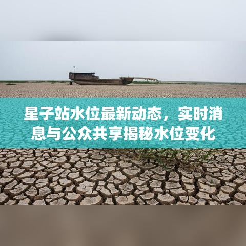 星子站水位最新动态，实时消息与公众共享揭秘水位变化