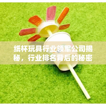 纸杯玩具行业领军公司揭秘，行业排名背后的秘密！