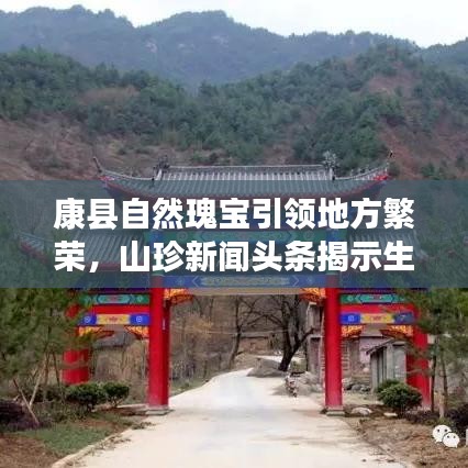 康县自然瑰宝引领地方繁荣，山珍新闻头条揭示生态繁荣之路
