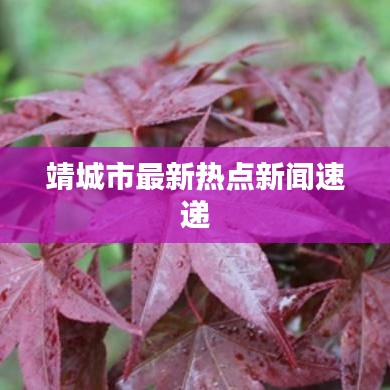 靖城市最新热点新闻速递