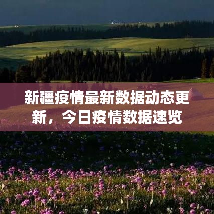 新疆疫情最新数据动态更新，今日疫情数据速览