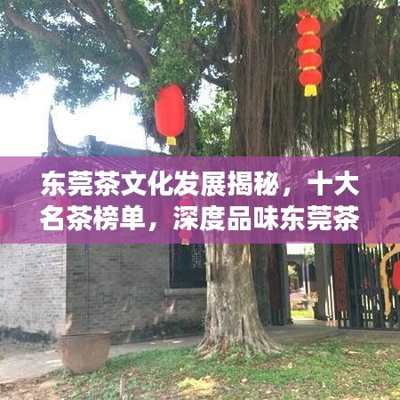 东莞茶文化发展揭秘，十大名茶榜单，深度品味东莞茶韵