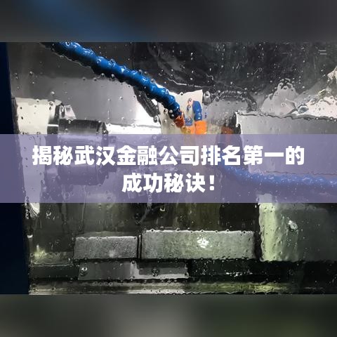 揭秘武汉金融公司排名第一的成功秘诀！
