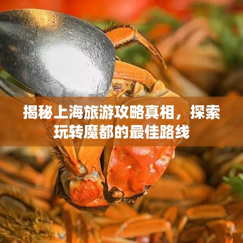 揭秘上海旅游攻略真相，探索玩转魔都的最佳路线