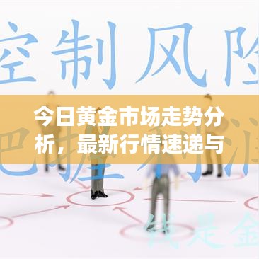 2025年6月5日 第3页