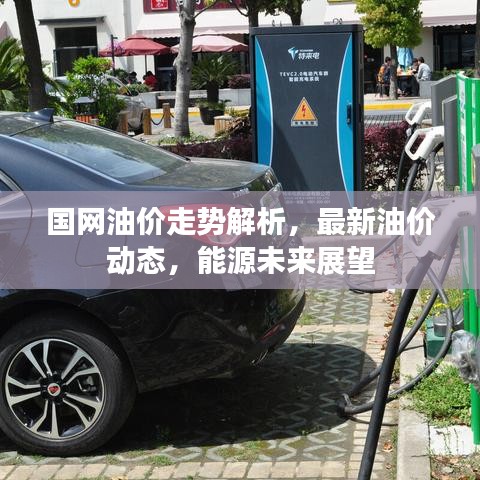 2025年6月5日 第2页