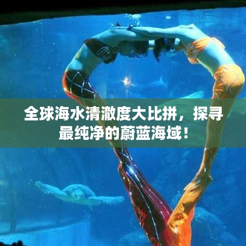 全球海水清澈度大比拼，探寻最纯净的蔚蓝海域！