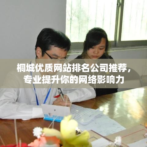 桐城优质网站排名公司推荐，专业提升你的网络影响力