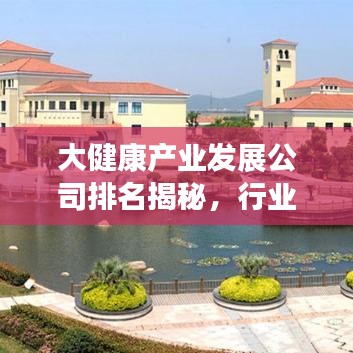 大健康产业发展公司排名揭秘，行业格局与未来趋势洞察