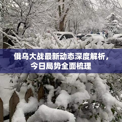 俄乌大战最新动态深度解析，今日局势全面梳理