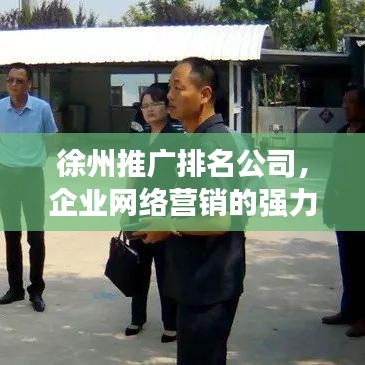 徐州推广排名公司，企业网络营销的强力助推器
