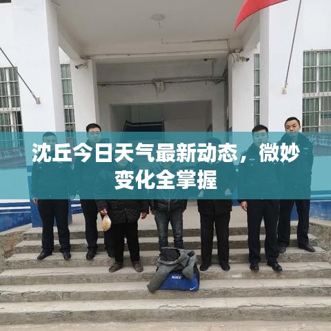 沈丘今日天气最新动态，微妙变化全掌握