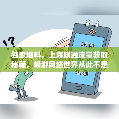 独家爆料，上海联通流量获取秘籍，畅游网络世界从此不是难题！