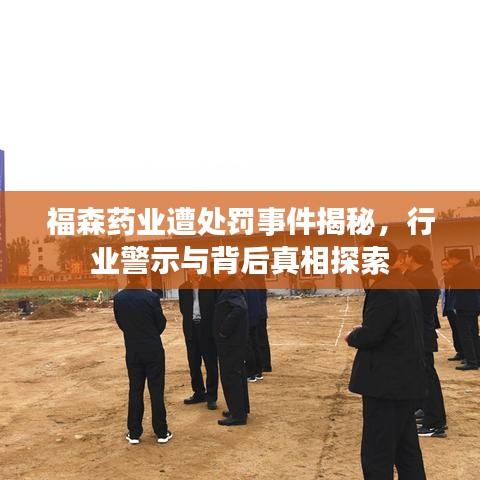 福森药业遭处罚事件揭秘，行业警示与背后真相探索