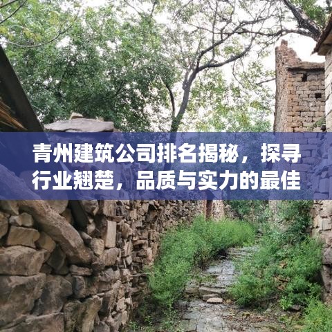 青州建筑公司排名揭秘，探寻行业翘楚，品质与实力的最佳展现