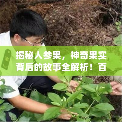 揭秘人参果，神奇果实背后的故事全解析！百度带你探寻真相