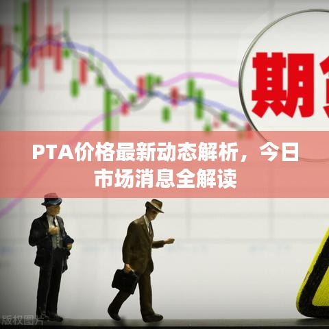PTA价格最新动态解析，今日市场消息全解读