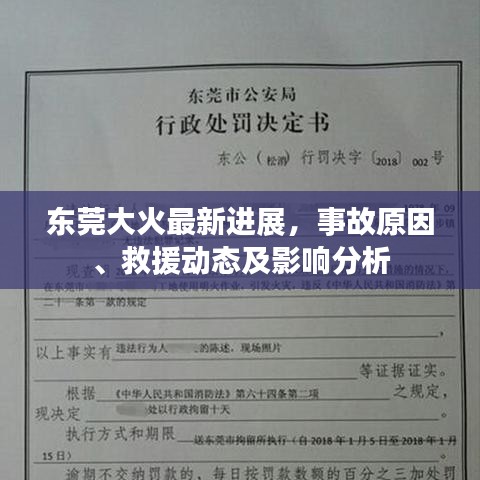 东莞大火最新进展，事故原因、救援动态及影响分析