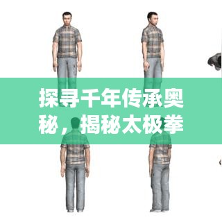 探寻千年传承奥秘，揭秘太极拳二十四节之韵律舞动
