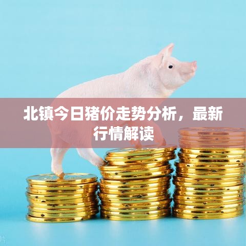 北镇今日猪价走势分析，最新行情解读