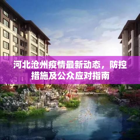 河北沧州疫情最新动态，防控措施及公众应对指南