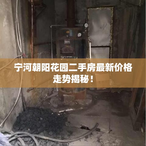 宁河朝阳花园二手房最新价格走势揭秘！