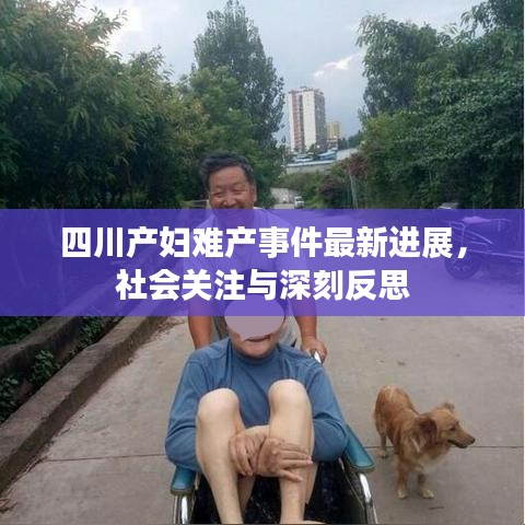 四川产妇难产事件最新进展，社会关注与深刻反思