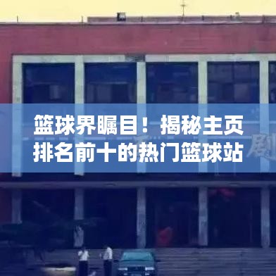 篮球界瞩目！揭秘主页排名前十的热门篮球站点！