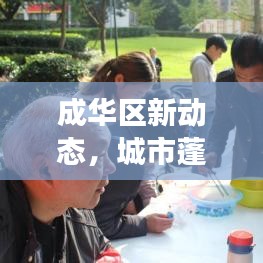 成华区新动态，城市蓬勃发展，社区生活多彩多姿