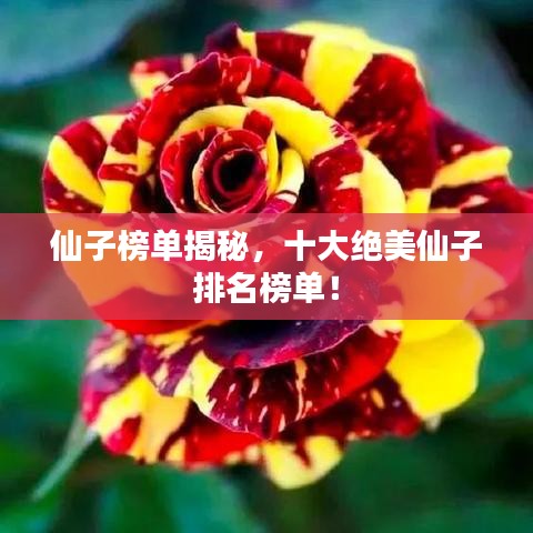 仙子榜单揭秘，十大绝美仙子排名榜单！