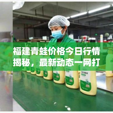 福建青蛙价格今日行情揭秘，最新动态一网打尽！