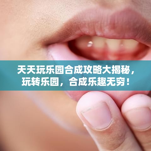 天天玩乐园合成攻略大揭秘，玩转乐园，合成乐趣无穷！