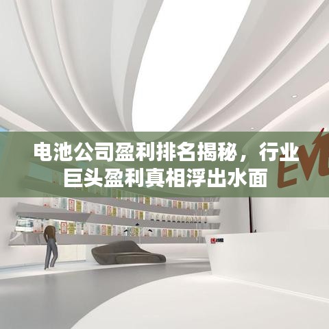 电池公司盈利排名揭秘，行业巨头盈利真相浮出水面