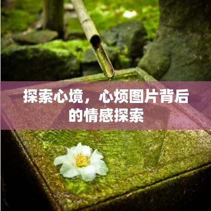 探索心境，心烦图片背后的情感探索