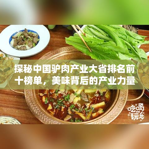 探秘中国驴肉产业大省排名前十榜单，美味背后的产业力量揭秘！