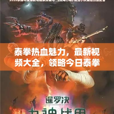 泰拳热血魅力，最新视频大全，领略今日泰拳风采