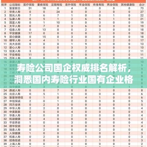 寿险公司国企权威排名解析，洞悉国内寿险行业国有企业格局