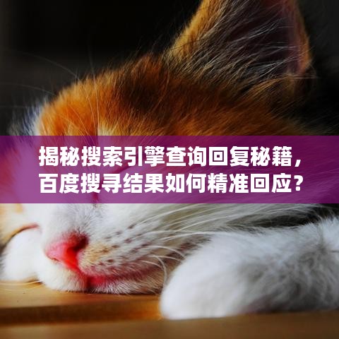 揭秘搜索引擎查询回复秘籍，百度搜寻结果如何精准回应？