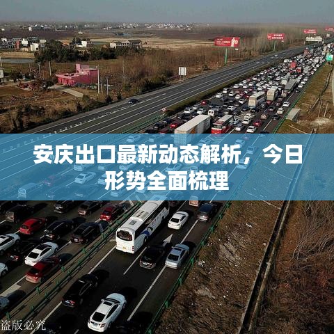 安庆出口最新动态解析，今日形势全面梳理