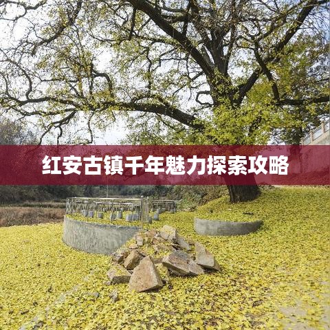 红安古镇千年魅力探索攻略